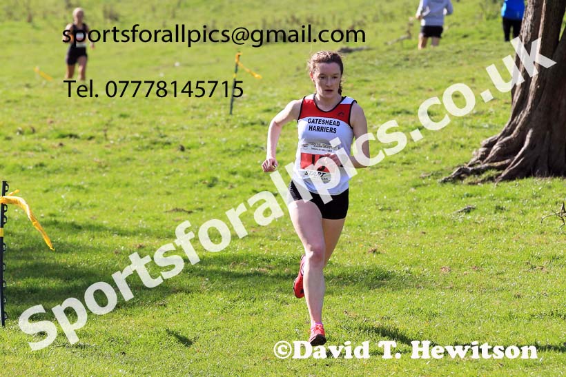 Senior and Masters Women, 2022 NECAA Cross Country Relays, Thornley Hall Farm, Peterlee, County Durham, October 15th. Photo: David T. Hewitson/Sports for All Pics
